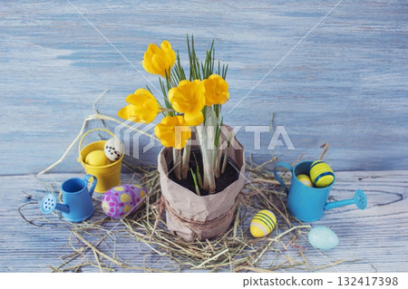 Spring Easter decor with crocuses and eggs. Crocuses and Easter eggs on a rustic wooden background. Spring Easter decor with crocuses and eggs. Crocuses and Easter eggs on a rustic wooden background. 132417398