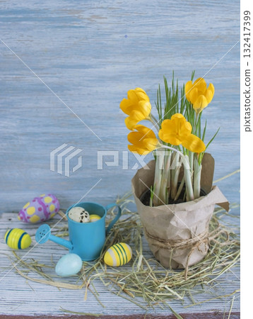 Spring Easter decor with crocuses and eggs. Crocuses and Easter eggs on a rustic wooden background. Spring Easter decor with crocuses and eggs. Crocuses and Easter eggs on a rustic wooden background. 132417399