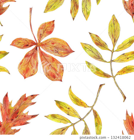 Various Autumn leaves. Colored pencils illustration seamless pattern. For autumn party, retro vintage settings, diaries and planners decorated, stickers, greeting cards and banners and clip arts. 132418062
