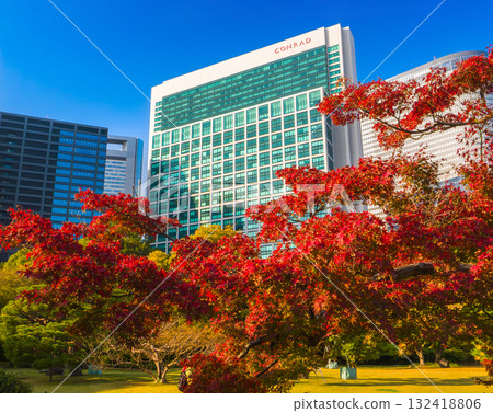 Autumn leaves in a Japanese garden and skyscrapers in the city center (Hama-rikyu Gardens, Chuo Ward, Tokyo) 132418806