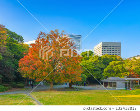 Autumn scenery of a Japanese garden in the city center with beautiful autumn leaves against the backdrop of skyscrapers (Tokyo, Chuo Ward, Hama-rikyu Gardens) Autumn scenery of a Japanese garden in the city center with beautiful autumn leaves against the backdrop of skyscrapers (Tokyo, Chuo Ward, Hama-rikyu Gardens) 132418812