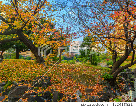 都市日式花園中色彩繽紛的櫻花樹和鋪滿落葉的地毯(東京都港區舊芝離宮恩賜庭園) 都市日式花園中色彩繽紛的櫻花樹和鋪滿落葉的地毯(東京都港區舊芝離宮恩賜庭園) 132418821