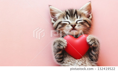 Adorable kitten cuddling a heart-shaped pillow. Adorable kitten cuddling a heart-shaped pillow. 132419522