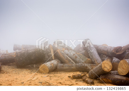 lumber on roadside with sawdust in morning fog. pile of firewood on the ground. romania is prepared for winter season with natural fuel from spruce timber 132419865