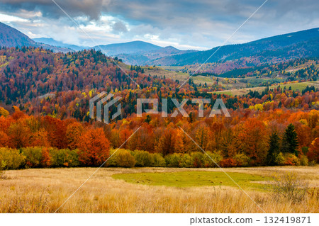 mountain landscape of ukraine countryside on autumn morning. beautiful view of carpathian range with dappled light on forested slopes in colorful foliage. picturesque place with rolling hills mountain landscape of ukraine countryside on autumn morning. beautiful view of carpathian range with dappled light on forested slopes in colorful foliage. picturesque place with rolling hills 132419871