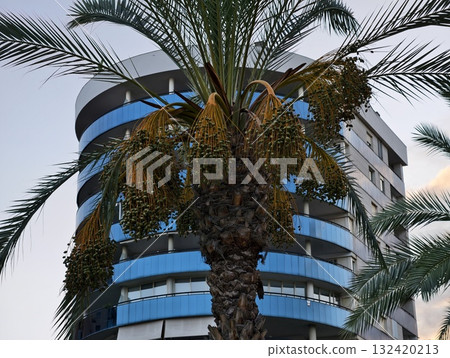 modern building with tropical surroundings, contemporary tower framed by lush tropical foliage 132420213