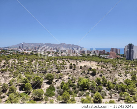 urban scenery blending nature and buildings, city edge featuring green spaces near skyscrapers 132420242