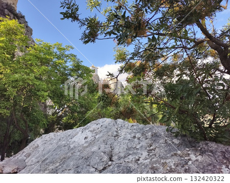 calm overlook with lush greenery and rocks, tranquil scene featuring mossy rocks and pine branches calm overlook with lush greenery and rocks, tranquil scene featuring mossy rocks and pine branches 132420322