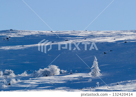 Blue sky and vast snowy fields 132420414