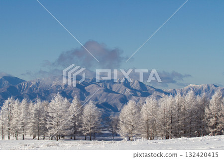 Rime-covered tree-lined road and snow-capped mountains 132420415