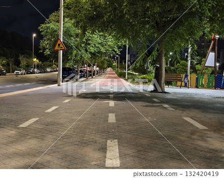 calm urban nighttime bike path, quiet urban bike lane adorned with lights and surrounding trees 132420419