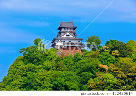 [Aichi Prefecture] Inuyama Castle (National Treasure No. 5 Castle) 132420614
