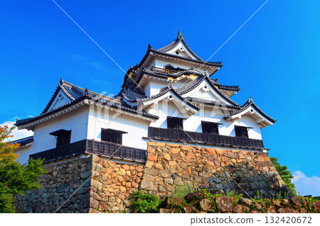 [Aichi Prefecture] Hikone Castle (National Treasure) - Existing castle tower 132420672