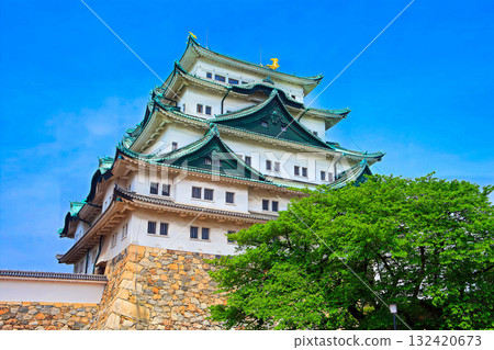 [愛知縣]名古屋城（天守閣） 132420673
