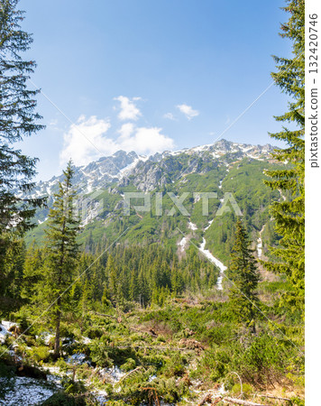 mountain landscape with forest and distant peaks. green nature environment in spring 132420746
