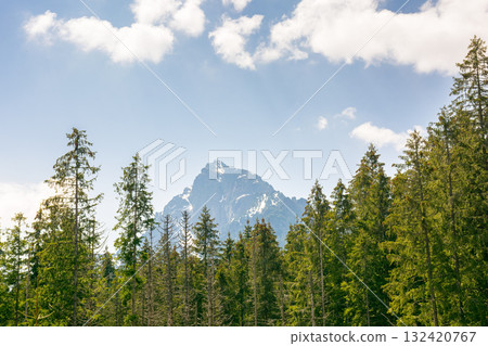 landscape of mountain in poland. nature with forest and peak under sky and cloud in spring 132420767