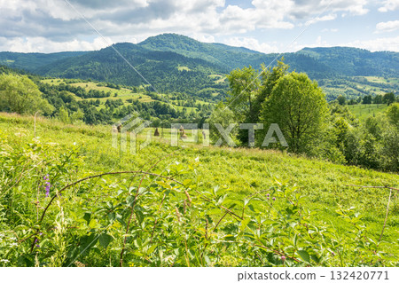 countryside mountain landscape in summer. lush green foliage. beautiful view with deciduous tree on the grass field. forest on the distant hill under blue sky with clouds. woods of carpathians 132420771