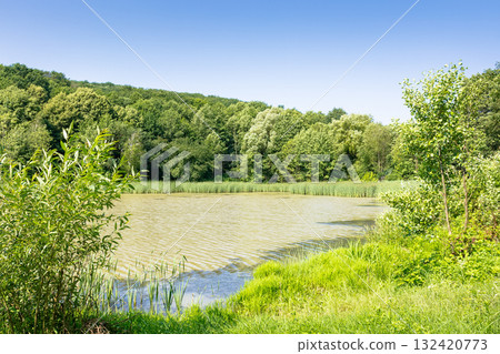summer nature with lake among forest on hill. green grass on the shore. countryside landscape for fishing and relax on a sunny day with cloudless blue sky summer nature with lake among forest on hill. green grass on the shore. countryside landscape for fishing and relax on a sunny day with cloudless blue sky 132420773