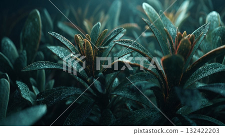 Dark foliage plant close up, digital art style, dewy leaves with dramatic lighting. 132422203