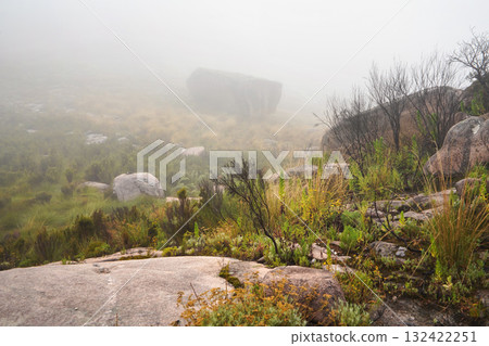Grass and small bushes growing over rocky terrain - typical scenery seen during foggy day on trek to pic Boby in Andringitra, Madagascar 132422251