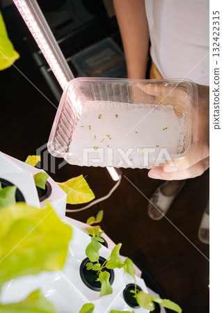 Cropped shot of farmer hands holding tray of sprouted seeds, showcasing initial stages of plant growth in hydroponic vertical farming system illuminated by led grow lights. Concept of home gardening. Cropped shot of farmer hands holding tray of sprouted seeds, showcasing initial stages of plant growth in hydroponic vertical farming system illuminated by led grow lights. Concept of home gardening. 132422315