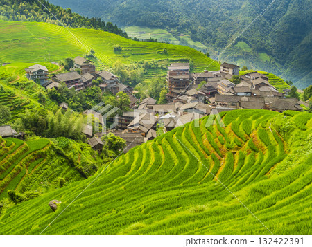 Longji village surrounded by green terraced rice fields, Longsheng county, Guilin, Guangxi, China Longji village surrounded by green terraced rice fields, Longsheng county, Guilin, Guangxi, China 132422391
