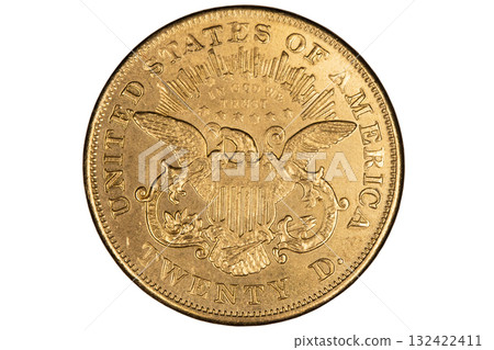 Golden 1879 US twenty dollars coin 132422411