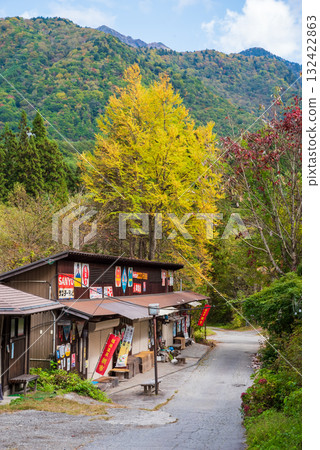 奧飛驒溫泉鄉福地溫泉的秋季早市會場 奧飛驒溫泉鄉福地溫泉的秋季早市會場 132422863