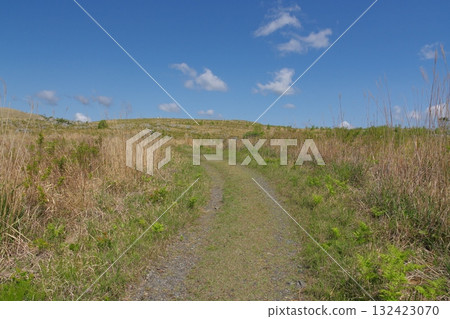 Akiyoshidai with dead grass in the spring of 2025 132423070