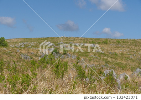 Akiyoshidai with dead grass in the spring of 2025 Akiyoshidai with dead grass in the spring of 2025 132423071