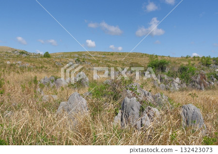 Akiyoshidai with dead grass in the spring of 2025 132423073