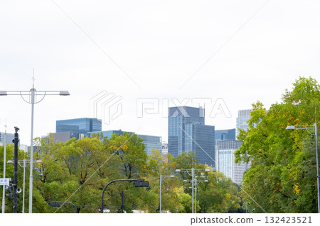 城市景觀與綠化 132423521