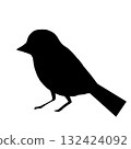 Bird icon 132424092