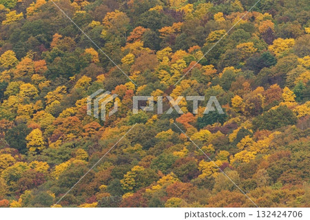 彩色山腰 彩色山腰 132424706