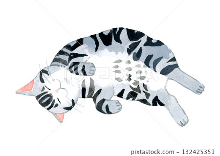 A cat (American Shorthair) lying down happily. Hand-drawn watercolor illustration of a pet or animal. 132425351
