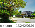 Banyan tree and house 132425689