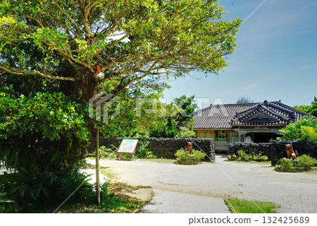 Banyan tree and house 132425689