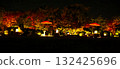 Garden illuminated with autumn leaves 132425696