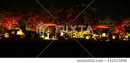 秋天的落葉照亮了花園 132425696