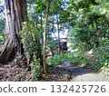 Nature and Shrines 132425726