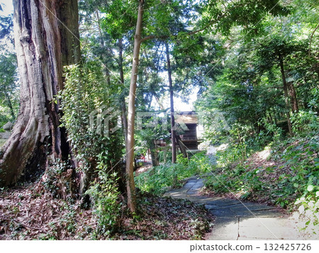 大自然與神社 大自然與神社 132425726
