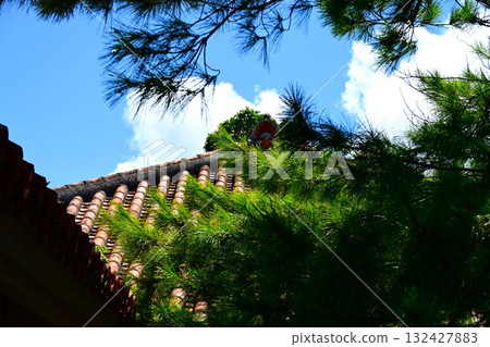 Red tile roof and Ryukyu pine 132427883