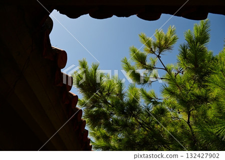 Sunlight filtering through the Ryukyu pine trees and a tiled roof Sunlight filtering through the Ryukyu pine trees and a tiled roof 132427902