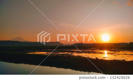 Golden Sunrise over Flooded Rice Paddies with Distant Mountain 132428026