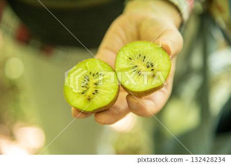 奇異果圖片 132428234