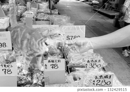 一隻在香港德輔道西一家高級乾貨店工作的貓 一隻在香港德輔道西一家高級乾貨店工作的貓 132429515