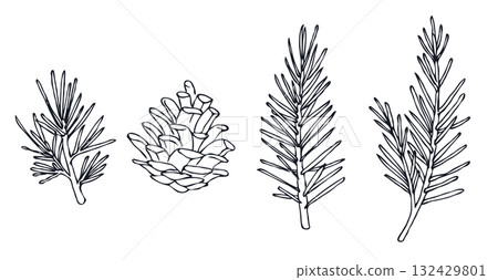 簡單植物（松果）線描插圖 132429801