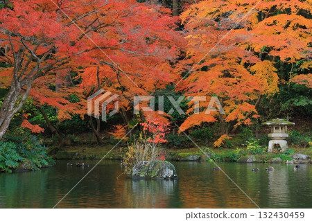 改變葉子的Momiji 132430459