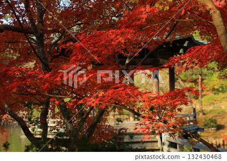 改變葉子的Momiji 132430468