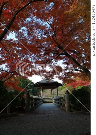 改變葉子的Momiji 132430472
